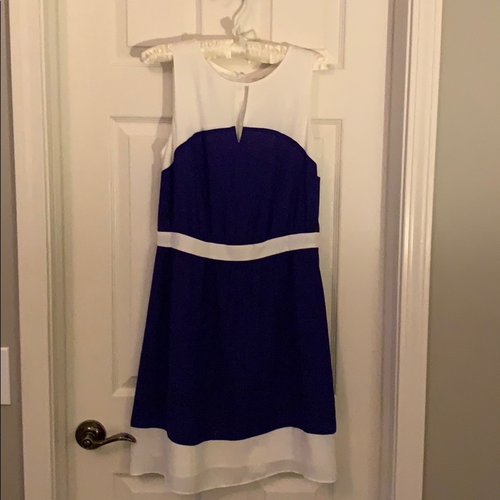 Blue and White LOFT Dress